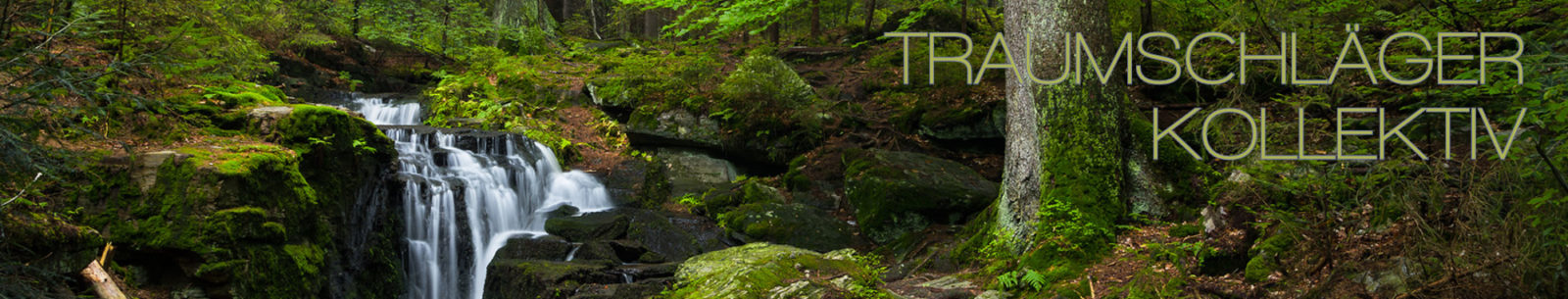 Naturaufnahme im Wald. Im Vordergrund reisigbedeckter Boden und mossbewachsene Steine, dahinter der Stamm eines wohl großen Baumes, er hat unten keine Äste. Links daneben fällt ein kleiner Bach über ein einige Steine herab und bildet einen malerischen kleinen Wasserfall. Durch Langzeitbelichtung ist die Gischt des Wasserfalls eingefangen und der Weg des Wassers die Steine hinab zu sehen. Um die zentrale Gruppe Wasserfall - Steine - Baumstamm herum breitet sich dichter Laubwald aus. Es scheint Frühling zu sein, das Grün wirkt frisch und jung. Im sehr naturbelassenen Wald ist sonst nichts spezifisches auszumachen, weder Wege noch Schilder oder Menschen, nur unterschiedlich große Bäume und Unterholz.